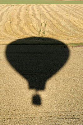 2195 Lorraine Mondial Air Ballons 2009 - MK3_4890 DxO  web.jpg