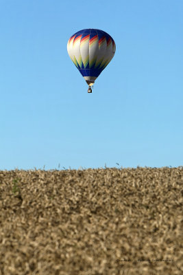 2293 Lorraine Mondial Air Ballons 2009 - MK3_4955_DxO web.jpg