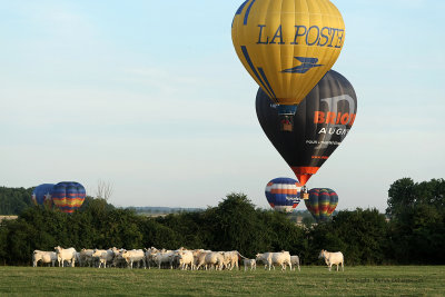 1709 Lorraine Mondial Air Ballons 2009 - MK3_4527_DxO  web.jpg