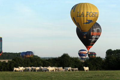 1710 Lorraine Mondial Air Ballons 2009 - MK3_4528_DxO  web.jpg