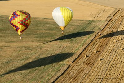3624 3634 Lorraine Mondial Air Ballons 2009 - MK3_6111 DxO  web.jpg