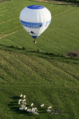 3673 3686 Lorraine Mondial Air Ballons 2009 - MK3_6154 DxO  web.jpg