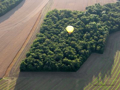 5010 Lorraine Mondial Air Ballons 2009 - IMG_1328 DxO  web.jpg
