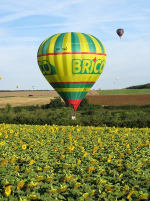 5253 Lorraine Mondial Air Ballons 2009 - IMG_1378 DxO  web.jpg