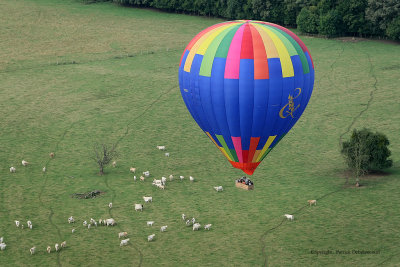 6695 Lorraine Mondial Air Ballons 2009 - MK3_7783 DxO  web.jpg