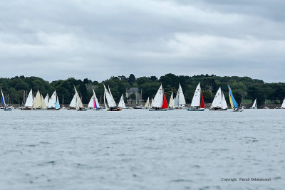 217 Festival de la voile de l'ile aux Moines 2009 - MK3_8845_DxO web.jpg