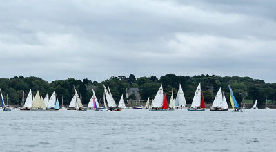 217 Festival de la voile de l'ile aux Moines 2009 - MK3_8845_b_ DxO web.jpg