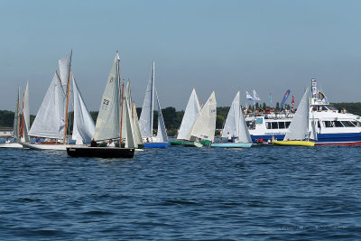 1079 Festival de la voile de l'ile aux Moines 2009 - MK3_9628_DxO web.jpg