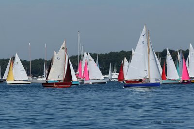 1136 Festival de la voile de l'ile aux Moines 2009 - MK3_9685_DxO web.jpg