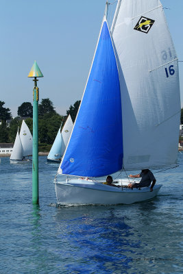 1177 Festival de la voile de l'ile aux Moines 2009 - MK3_9726_DxO web.jpg