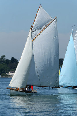 1220 Festival de la voile de l'ile aux Moines 2009 - MK3_9769_DxO web.jpg