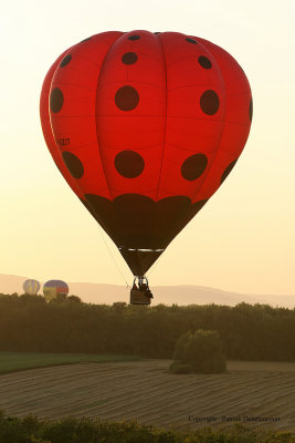 7342 Lorraine Mondial Air Ballons 2009 - MK3_8260 DxO  web.jpg