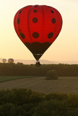 7344 Lorraine Mondial Air Ballons 2009 - MK3_8262 DxO  web.jpg