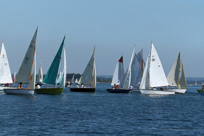 1399 Festival de la voile de l'ile aux Moines 2009 - MK3_9939_DxO web.jpg