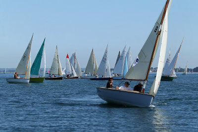 1402 Festival de la voile de l'ile aux Moines 2009 - MK3_9941_DxO web.jpg