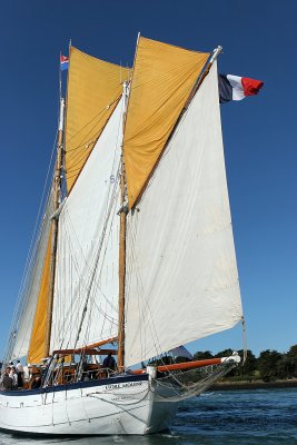 6170 Semaine du Golfe 2009 - IMG_3043 DxO web.jpg