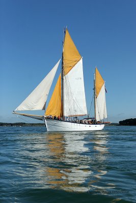 6201 Semaine du Golfe 2009 - IMG_3064 DxO web.jpg