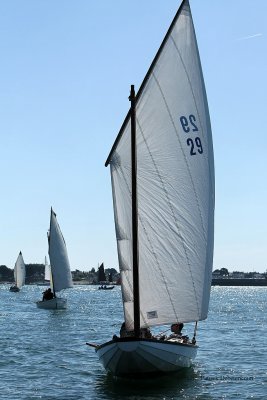 6449 Semaine du Golfe 2009 - MK3_6928 DxO web.jpg