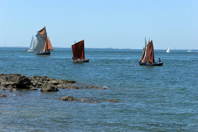 6612 Semaine du Golfe 2009 - IMG_3189 DxO web.jpg