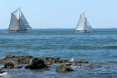 6628 Semaine du Golfe 2009 - MK3_7074 DxO web.jpg