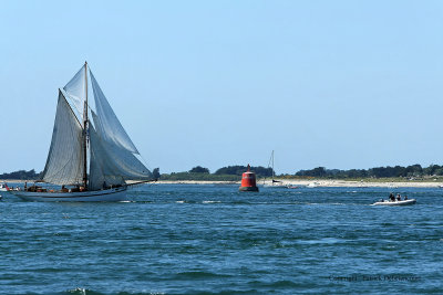 6629 Semaine du Golfe 2009 - MK3_7075 DxO web.jpg