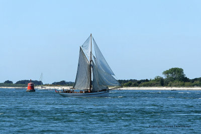 6630 Semaine du Golfe 2009 - MK3_7076 DxO web.jpg