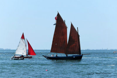 6635 Semaine du Golfe 2009 - MK3_7081 DxO web.jpg