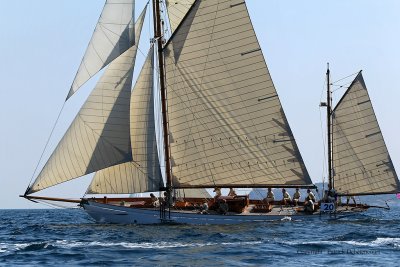 1850 Regates Royales de Cannes Trophee Panerai 2009 - MK3_5100 DxO pbase.jpg