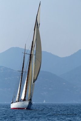 2322 Regates Royales de Cannes Trophee Panerai 2009 - MK3_5424 DxO pbase.jpg