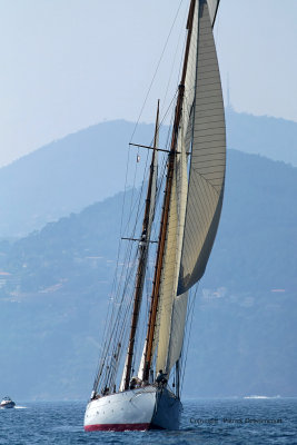 2323 Regates Royales de Cannes Trophee Panerai 2009 - MK3_5425 DxO pbase.jpg