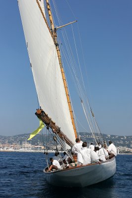 2439 Regates Royales de Cannes Trophee Panerai 2009 - IMG_8691 DxO pbase.jpg