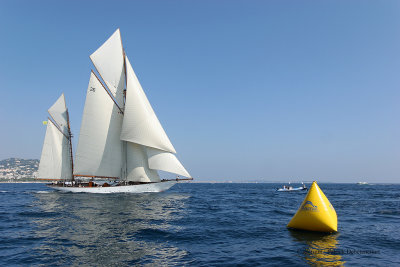 2655 Regates Royales de Cannes Trophee Panerai 2009 - IMG_8760 DxO pbase.jpg