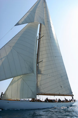 2871 Regates Royales de Cannes Trophee Panerai 2009 - IMG_8818 DxO pbase.jpg