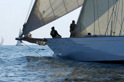 2888 Regates Royales de Cannes Trophee Panerai 2009 - MK3_5867 DxO pbase.jpg