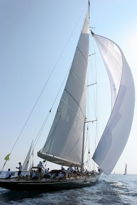 3198 Regates Royales de Cannes Trophee Panerai 2009 - IMG_9011 DxO pbase.jpg