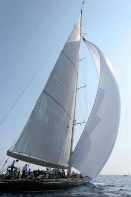 3200 Regates Royales de Cannes Trophee Panerai 2009 - IMG_9013 DxO pbase.jpg