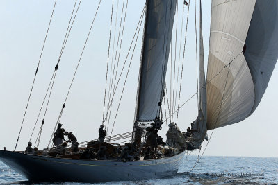 3258 Regates Royales de Cannes Trophee Panerai 2009 - MK3_6019 DxO pbase.jpg