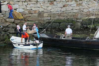 131 Douarnenez 2010 - Jeudi 22 juillet - MK3_3843_DxO WEB.jpg