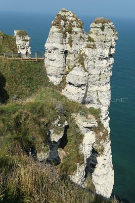 38 Etretat  - Cote Albatre 2010 - MK3_8133_DxO WEB.jpg