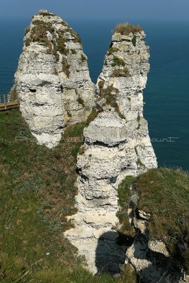 40 Etretat  - Cote Albatre 2010 - MK3_8136_DxO WEB.jpg