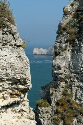 48 Etretat  - Cote Albatre 2010 - MK3_8149_DxO WEB.jpg