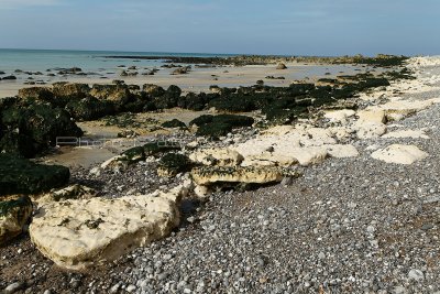 47 Cote dAlbatre - Les Petites Dalles - MK3_9395_DxO WEB.jpg