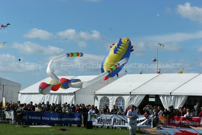 111 Festival international de cerf volant de Dieppe - IMG_7188_DxO WEB.jpg