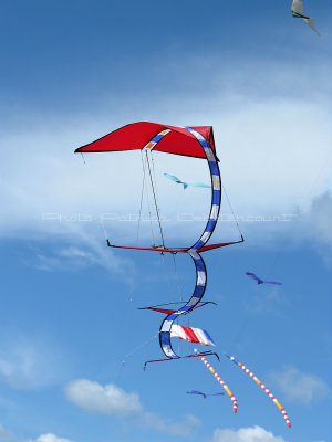 24 Festival international de cerf volant de Dieppe - IMG_5574_DxO WEB.jpg