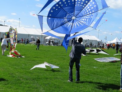 27 Festival international de cerf volant de Dieppe - IMG_5576_DxO WEB.jpg