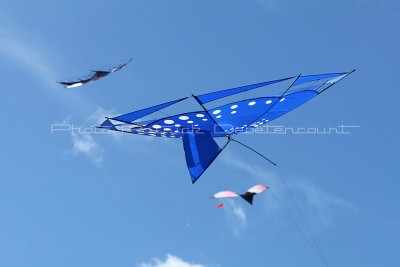 84 Festival international de cerf volant de Dieppe - MK3_9729_DxO WEB.jpg