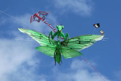 175 Festival international de cerf volant de Dieppe - MK3_9776_DxO WEB.jpg