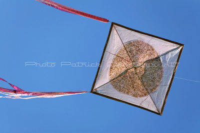 192 Festival international de cerf volant de Dieppe - MK3_9788_DxO WEB.jpg