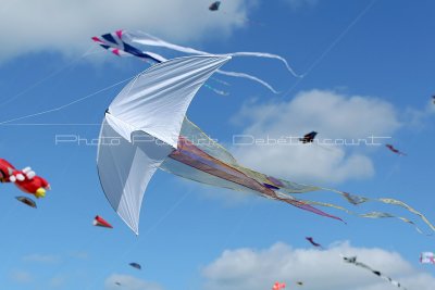 201 Festival international de cerf volant de Dieppe - MK3_9796_DxO WEB.jpg
