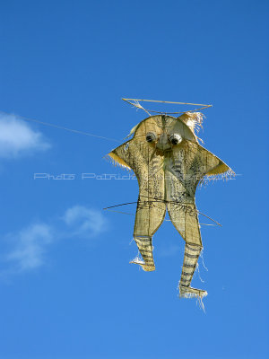 207 Festival international de cerf volant de Dieppe - IMG_5637_DxO WEB.jpg